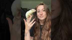 Unpack 13 EXOTIC ANIMALS with me!