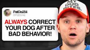 Dog Expert Reacts to the WORST Dog Training Advice