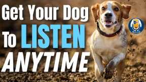 Teach Your Dog To Listen No Matter What… Even If You Think They Are Stubborn #144 #podcast