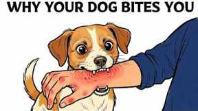 If Your Dog Suddenly Bites You, This is What It Means...