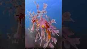 If you could have ANY exotic animal as a pet… what are you choosing? #pets #exotic #animals