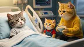 Brave Ginger Kitten Saves a Friend Who Fell Into the River – Mama Cat Is Proud! 🐱💖