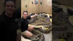 What’s in the secret snake room?😮