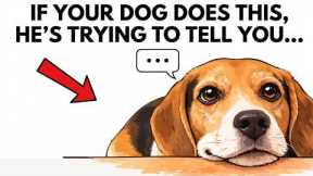 10 Ways Your Dog Is Trying to Talk to You (Stop Ignoring This Now)
