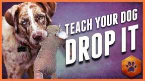 Teach a Dog to Drop It - Get polite mouth control with Tug
