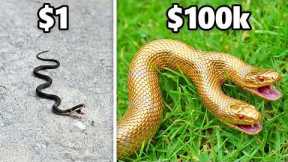 $1 vs. $100,000 Snake!