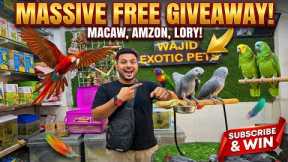 NEW STOCK ARRIVAL! 🦜 Wajid Exotic Pets Huge Update +  New  GIVEAWAY! 🔥 
