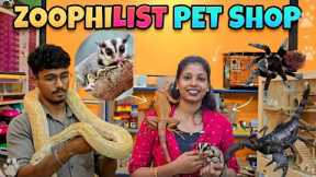 Exotic snake,fish,terrenulla , hamster , sugar glider,  iguanas pet shop chennai 
