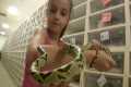 My Daughter Invades BHB Reptiles!