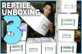 Unboxing 20 New Reptiles! Big &