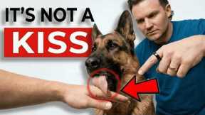 The Real Reason Your Dog Licks You (It's NOT What You Think!)