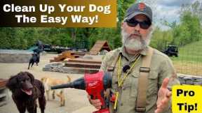 Clean Ticks & Allergens Off Your Dog The Easy Way!