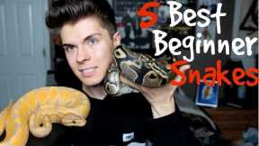5 Best Pet Snakes for Beginners!