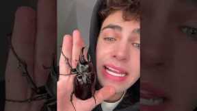 PET TOUR! 🐸 (please be aware these are all exotic pets are require specialist care)! I will have i