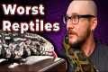 Top 5 WORST Beginner Reptiles! Get