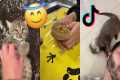 Exotic Pet TikTok Compilation: From