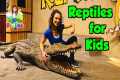 Kids Learn About Reptiles