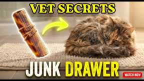 How Vets Groom Their Own Cats (Utilizing Your Junk Drawer) 