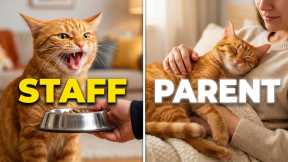 5 Functions Your Feline Assigns (And Why They Chew out You) 