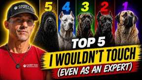 Top 5 Dog Breeds I Wouldn’t Touch (Even As An Expert)