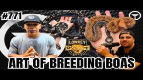 Art Of Breeding Boas | Trap Talk With MJ Ep.771 (Live)