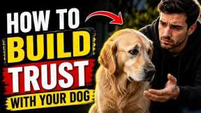 How to Build Trust With Your Dog | Easy Dog Training Tips for Beginners