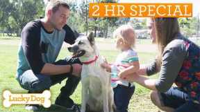 Lucky Dog Marathon | Turning Rescue Dogs Into Life-Changing Companions