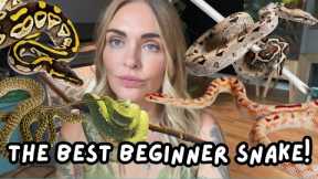 Best Snakes for Beginners & New Keepers