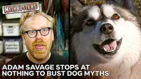 Is It Impossible To Teach An Old Dog New Tricks? | MythBusters