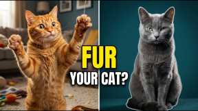 Is Your Cat's Character Hidden in Their Fur? (The Truth) 