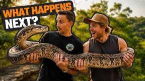 We Caught an ILLEGAL BOA CONSTRICTOR | Australia’s BLACK MARKET ANIMAL Trade