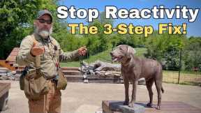 How to Fix Dog Reactivity: Stonnie’s 3 Pronged Strategy Silver Lab Training