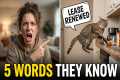 5 Words Your Cat Actually Understands 
