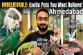 Exotic Pets Price in India 2026 |