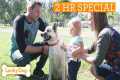 Lucky Dog Marathon | Turning Rescue