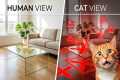 7 Ways Your Aesthetic Home Is
