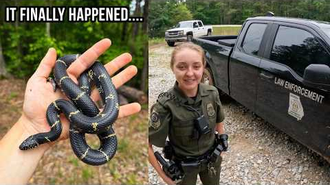 Kingsnakes, Box Turtles, and Herper Game Warden? Epic Late Spring Herping in Georgia!