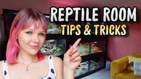 How to Create the PERFECT Reptile Room