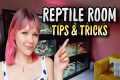 How to Create the PERFECT Reptile Room