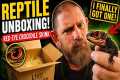 Reptile Unboxing! Red-Eyed Crocodile