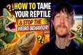 How to Tame Your Reptile (And Stop